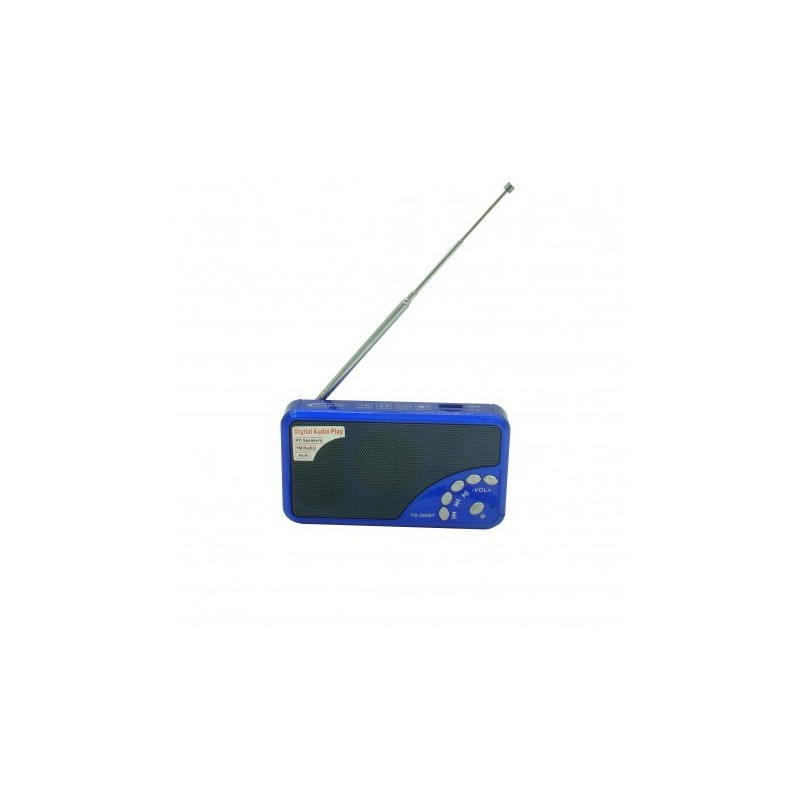 Kolendra mielona 600g